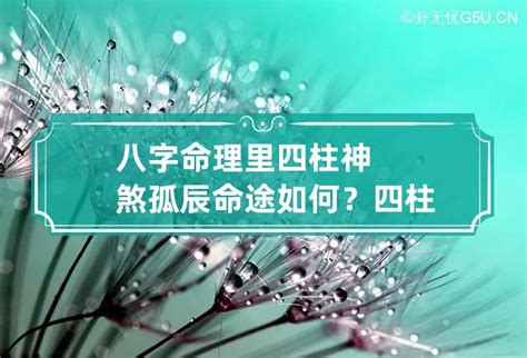 八字 孤辰|什麼是孤辰寡宿？講解孤辰八字、孤辰夫妻命宮、孤星命格 – 六壬。